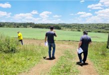 Governo domingosoarense e Caixa Econômica dialogam sobre Programa Pró-Moradia