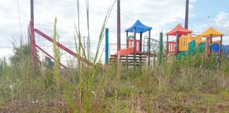 Parquinhos de Palmas abaixo do mato