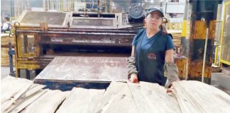 Marini Compensados Duas Décadas: A História contada pelos seus autores