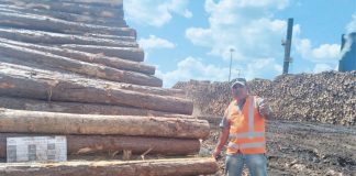 Marini Compensados Duas Décadas: A História contada pelos seus autores