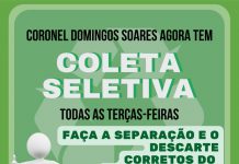 Cel. Domingos Soares inicia coleta seletiva do lixo