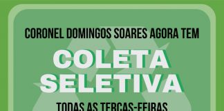 Cel. Domingos Soares inicia coleta seletiva do lixo