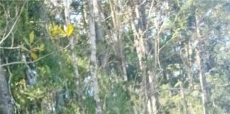 Mais uma ação do Projeto Proteja uma Nascente