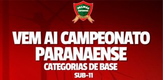 Palmas Futsal confirma participação no Paranaense em quatro categorias de base