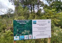 Governo domingosoarense pretende ampliar repasses do ICMS Ecológico