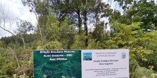 Governo domingosoarense pretende ampliar repasses do ICMS Ecológico