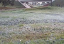 Geada fraca e temperaturas próximas de 0º C em Palmas nesta quinta-feira