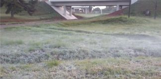 Geada fraca e temperaturas próximas de 0º C em Palmas nesta quinta-feira