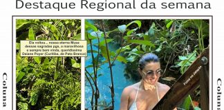 DESTAQUE REGIONAL DA SEMANA