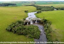 Região de Palmas conserva maior remanescente da mata atlântica do Sudoeste do Paraná