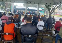 Ação do programa Emprega Mais Paraná realiza mais de 150 entrevistas em Palmas