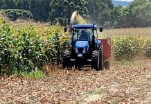 Prefeitura de CDS envia à Câmara PL que institui programas de apoio ao pequeno produtor rural