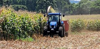 Prefeitura de CDS envia à Câmara PL que institui programas de apoio ao pequeno produtor rural