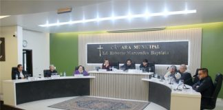 Palmenses vão eleger nove vereadores na próxima eleição