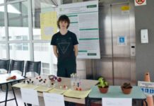 Projeto de Ensino do Campus Palmas realiza II Mini Feira