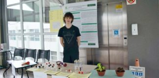 Projeto de Ensino do Campus Palmas realiza II Mini Feira