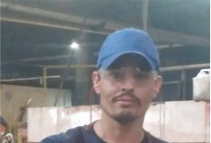 Marini Compensados Duas Décadas: A História contada pelos seus autores