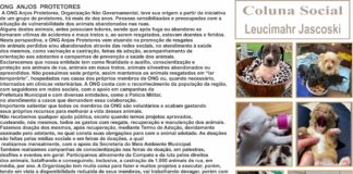 ONG ANJOS PROTETORES