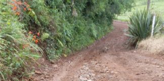 Rua 15 de Novembro – São José: por que Palmas deixa abandonados setores importantes de nossa cidade?