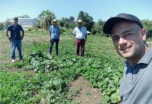 Prefeitura desenvolve projeto de produção de melancia em Cel. Domingos Soares