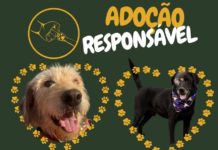 ADOÇÃO RESPONSÁVEL