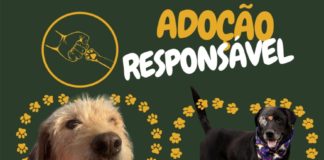ADOÇÃO RESPONSÁVEL