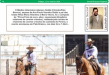 Médico Veterinário Adalson Gobbi (Clinicão/Pato Branco)