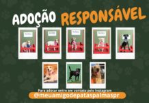 ADOÇÃO RESPONSÁVEL