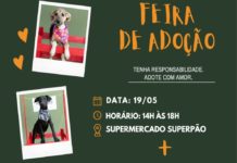 FEIRA DE ADOÇÃO