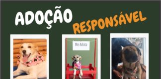 ADOÇÃO RESPONSÁVEL