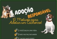 10 MOTIVOS PARA ADOTAR UM CACHORRO