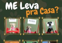 ADOÇÃO RESPONSÁVEL