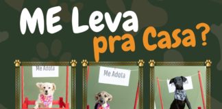 ADOÇÃO RESPONSÁVEL