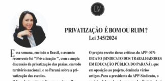 PRIVATIZAÇÃO É BOM OU RUIM?