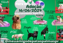 FEIRA DE ADOÇÃO 16/06