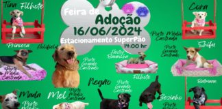 FEIRA DE ADOÇÃO 16/06