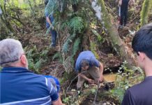Prefeitura de Coronel Domingos Soares desenvolve projeto de proteção de nascentes