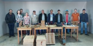 Coronel Domingos Soares, Sebrae e IDR lançam projeto de produção de mel