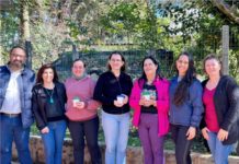 DIA MUNDIAL DO MEIO AMBIENTE – SUDATI