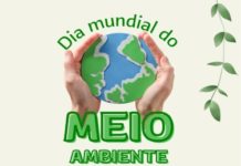 JUNHO VERDE – SUDATI