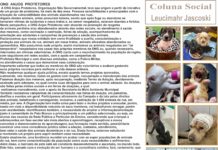 ONG ANJOS PROTETORES