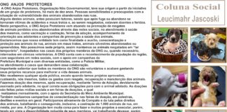 ONG ANJOS PROTETORES