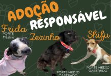 ADOÇÃO RESPONSÁVEL