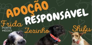 ADOÇÃO RESPONSÁVEL