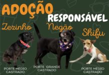 ADOÇÃO RESPONSÁVEL