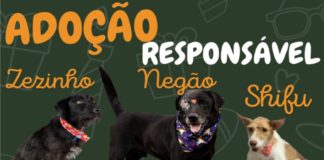 ADOÇÃO RESPONSÁVEL