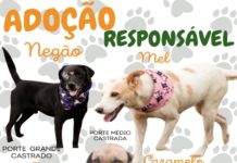 ADOÇÃO RESPONSÁVEL