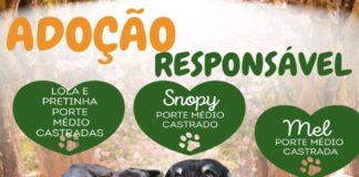 ADOÇÃO RESPONSÁVEL