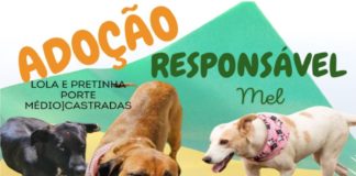 ADOÇÃO RESPONSÁVEL