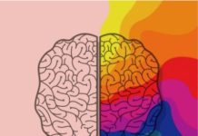 A Influência das Cores nas Emoções e Comportamentos: Um Olhar Sobre a Psicologia das Cores